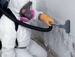 Mold Documentation for Insurance Claims in Verona, KY